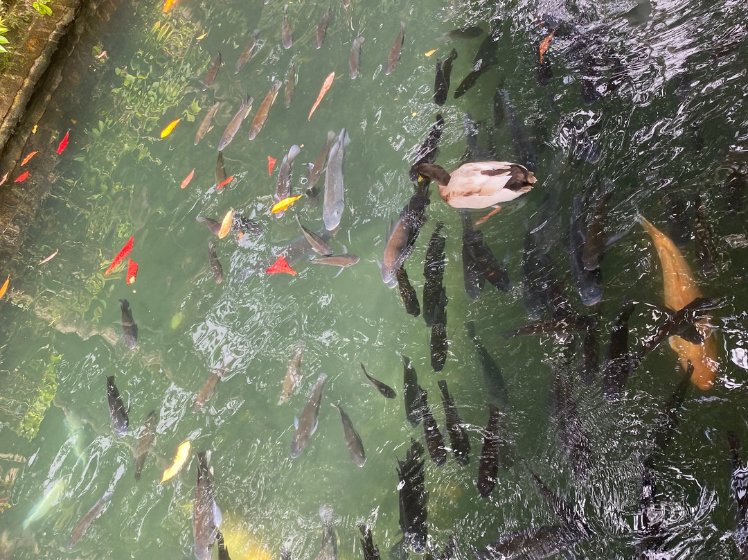 Bali Lovely Trip-登巴萨必去景点