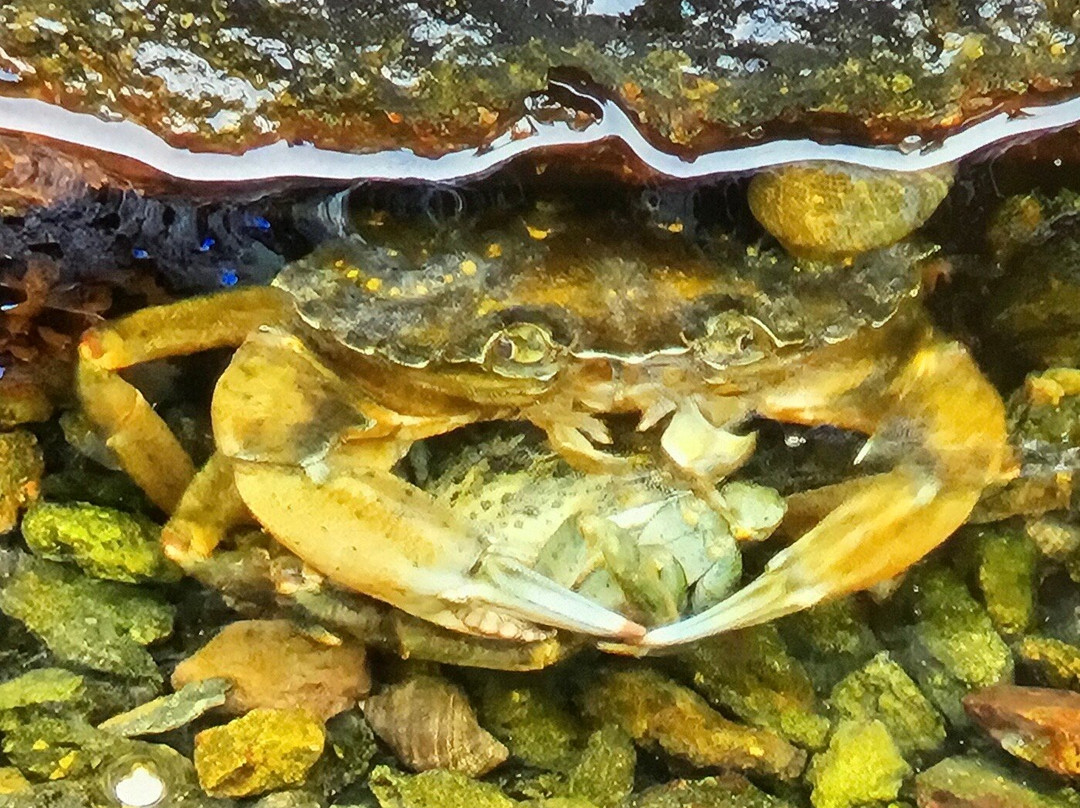 John's Cove Beach-Yarmouth必去景点