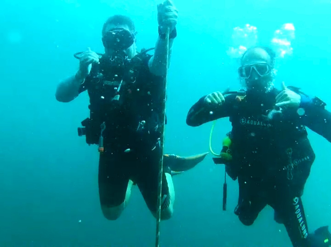 Guru Dive Doğa Sporları ve Eğitim Merkezi-伊斯坦布尔必去景点