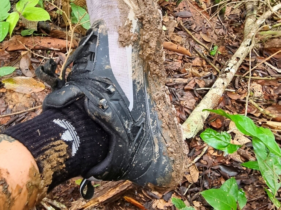 Ketambe Suherman Jungle-Ketambe必去景点