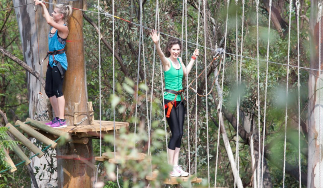 Acrobranch Centurion