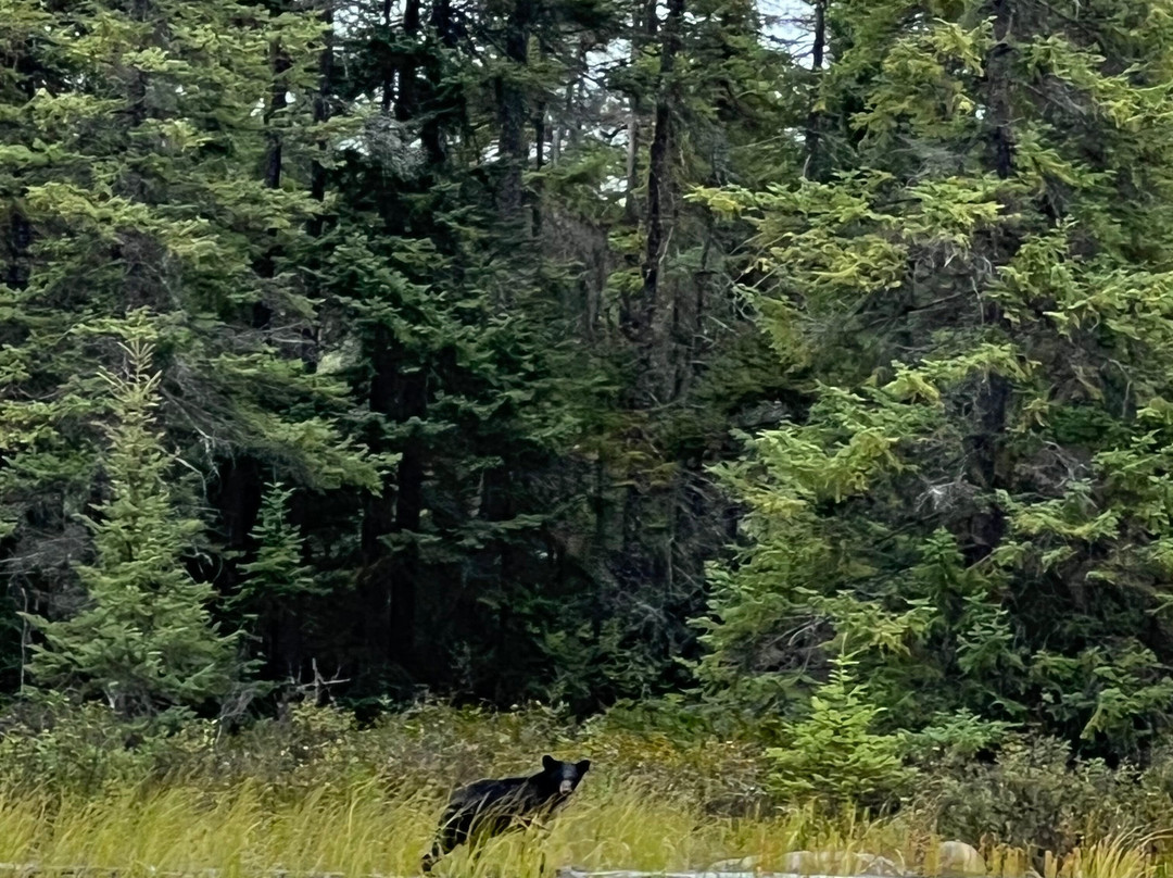 Temagami Wilderness-Temagami必去景点