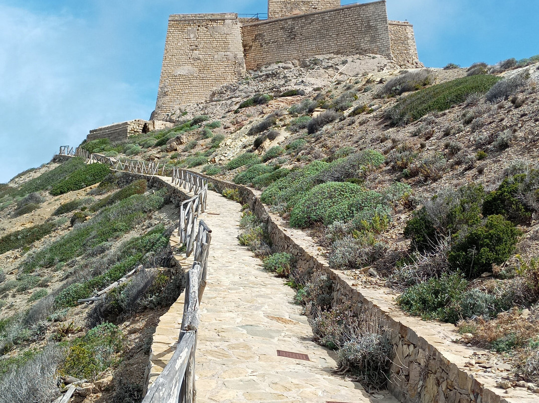 Castello Di Punta Troia景点图片