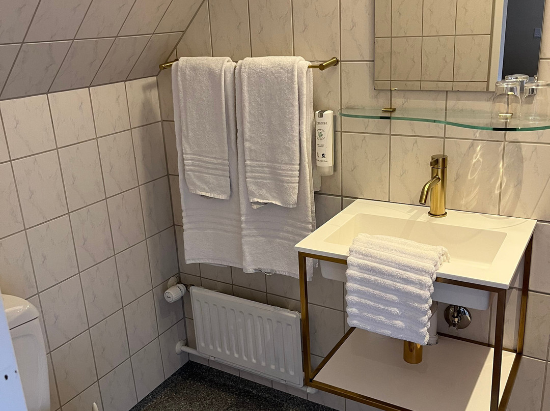 Hotel BramslevGaard主图