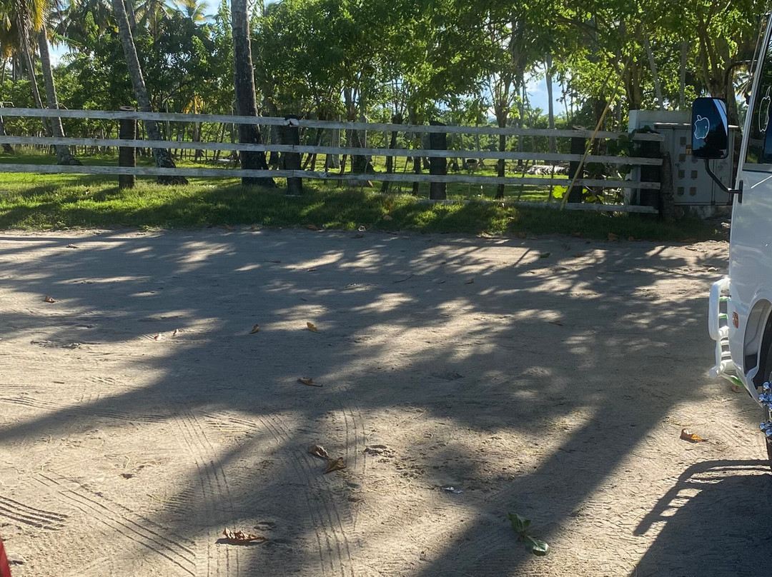 Playa Rogelio-Gaspar Hernandez必去景点