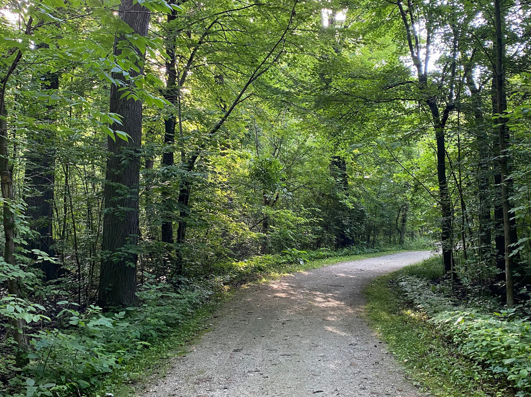 Pearson's Metropark-Oregon必去景点