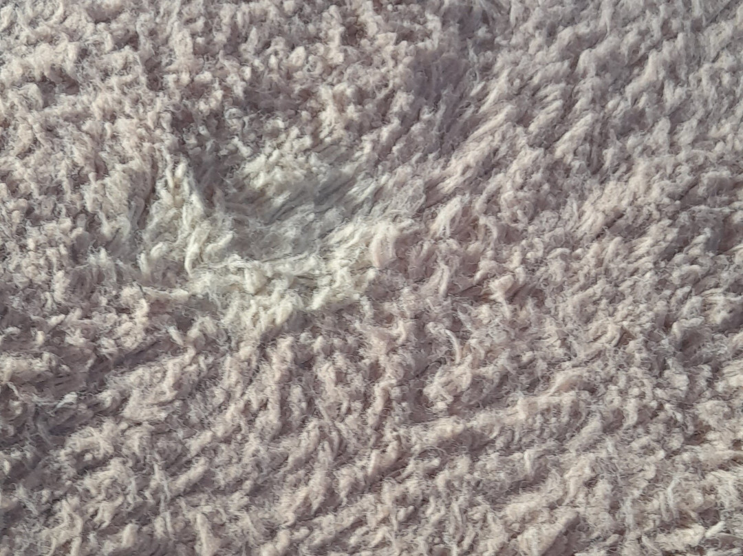 G! Boutique Hotel主图