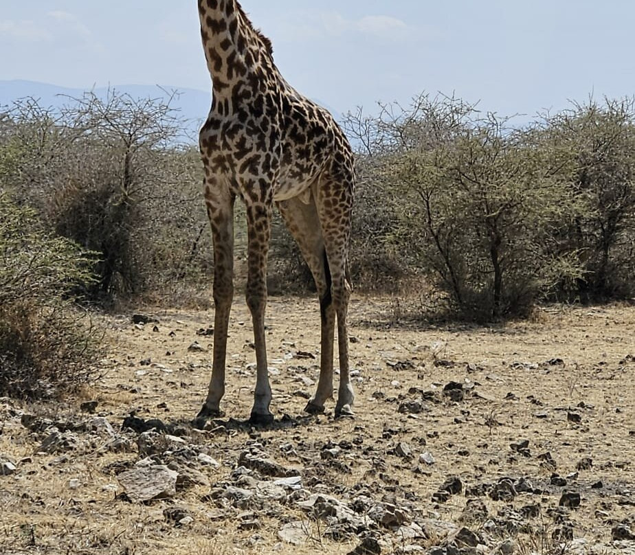 ZanTours Ltd-桑给巴尔市必去景点
