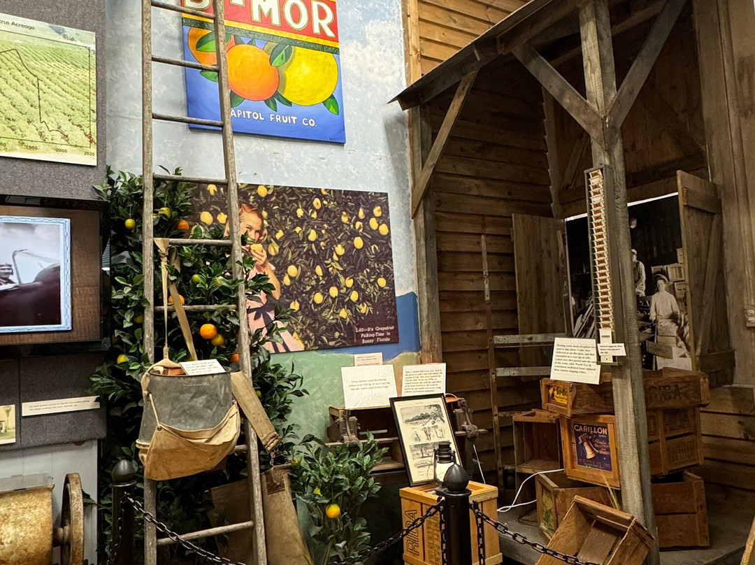 Winter Garden Heritage Museum景点图片