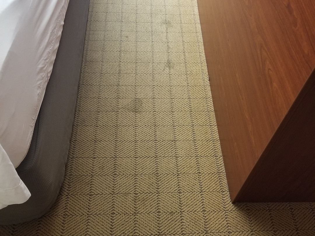 Microtel Inn & Suites by Wyndham Wellsville主图