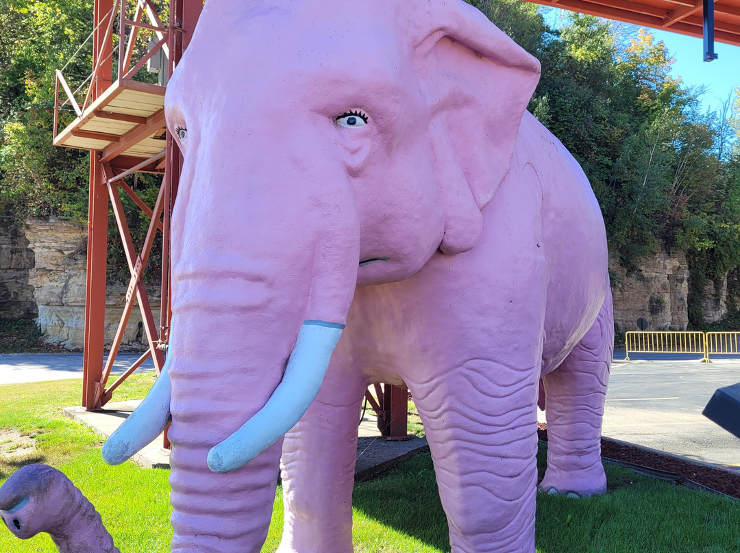 Pinky the Elephant景点图片