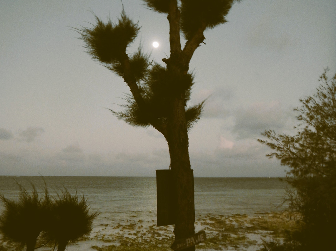 穆布芋泥沙滩酒店主图