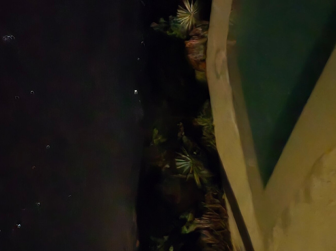 Bethel BioLuxury Tatacoa Desert主图