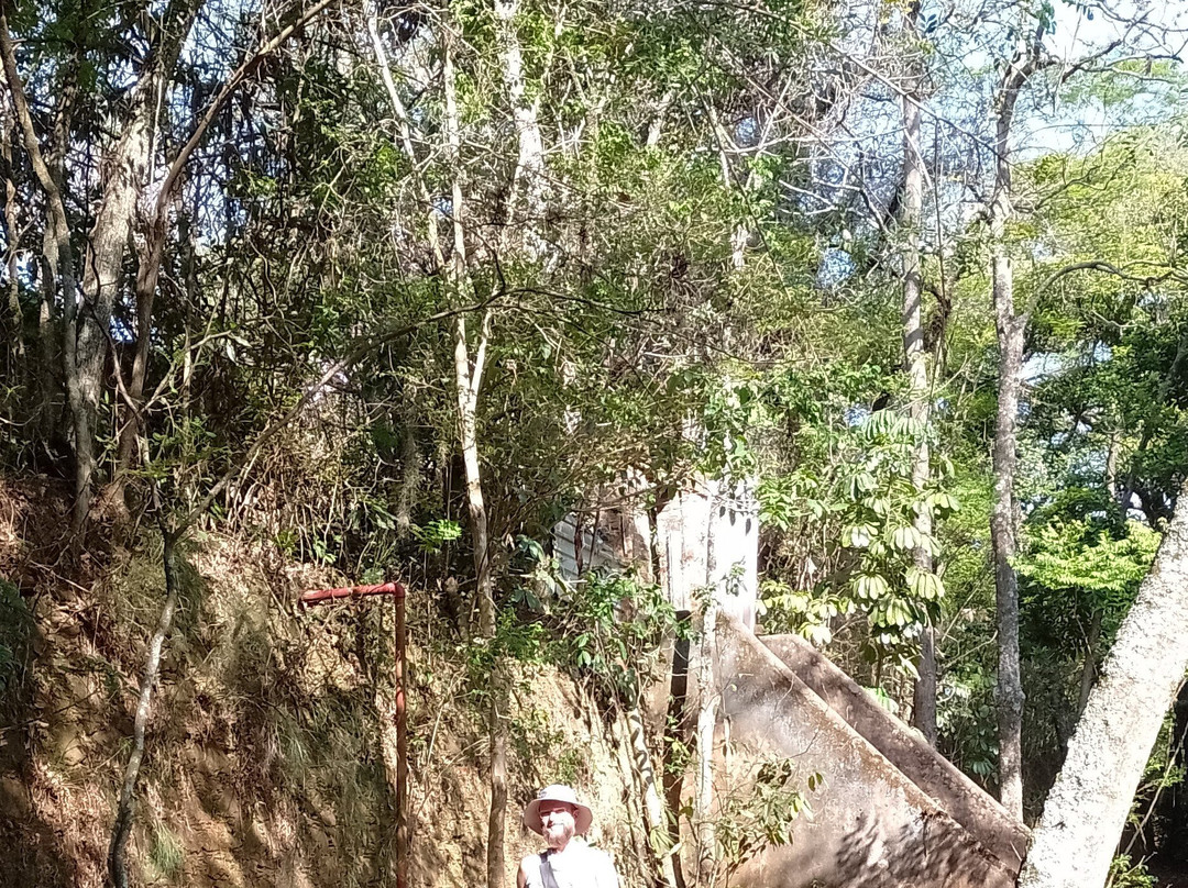 Parque Ecologico Monsenhor Emilio Jose Salim-坎皮纳斯必去景点