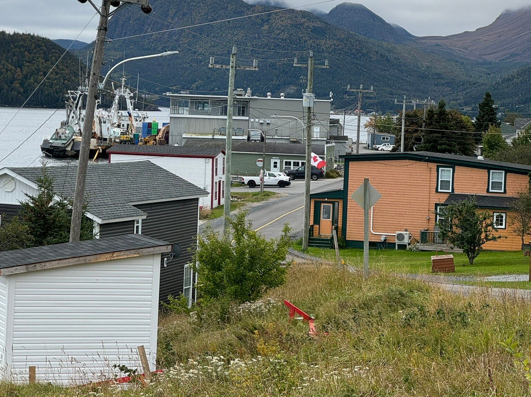 Gros Morne Transportation & Tours景点图片