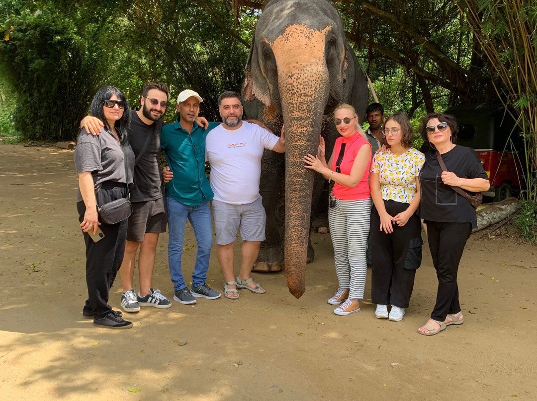 Luk Sri Lanka Travels-Pallekele必去景点