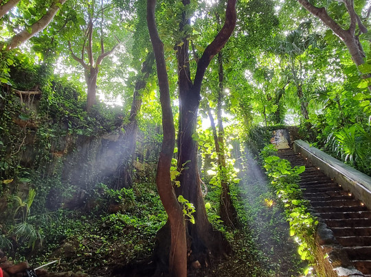 Viajes Colibrí Yucatán Tours-梅里达必去景点