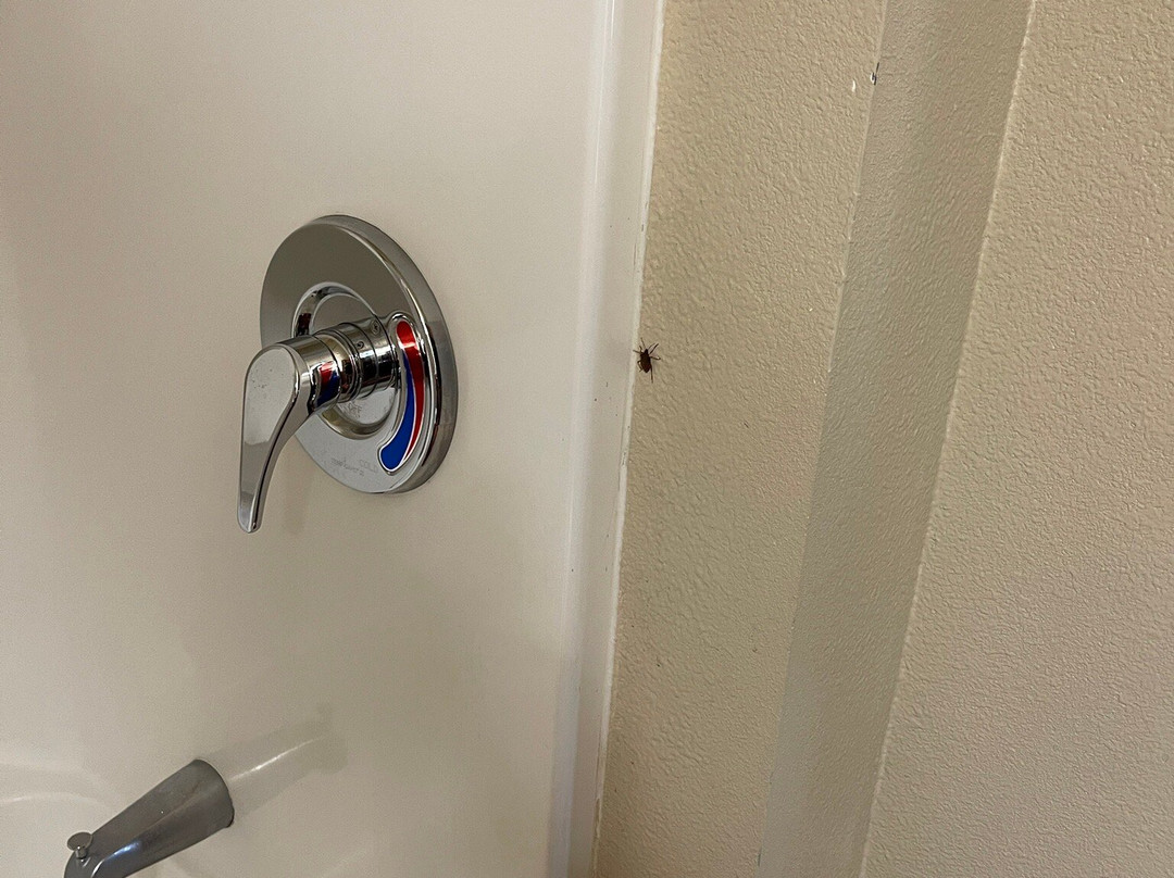 WoodSpring Suites Frederick主图