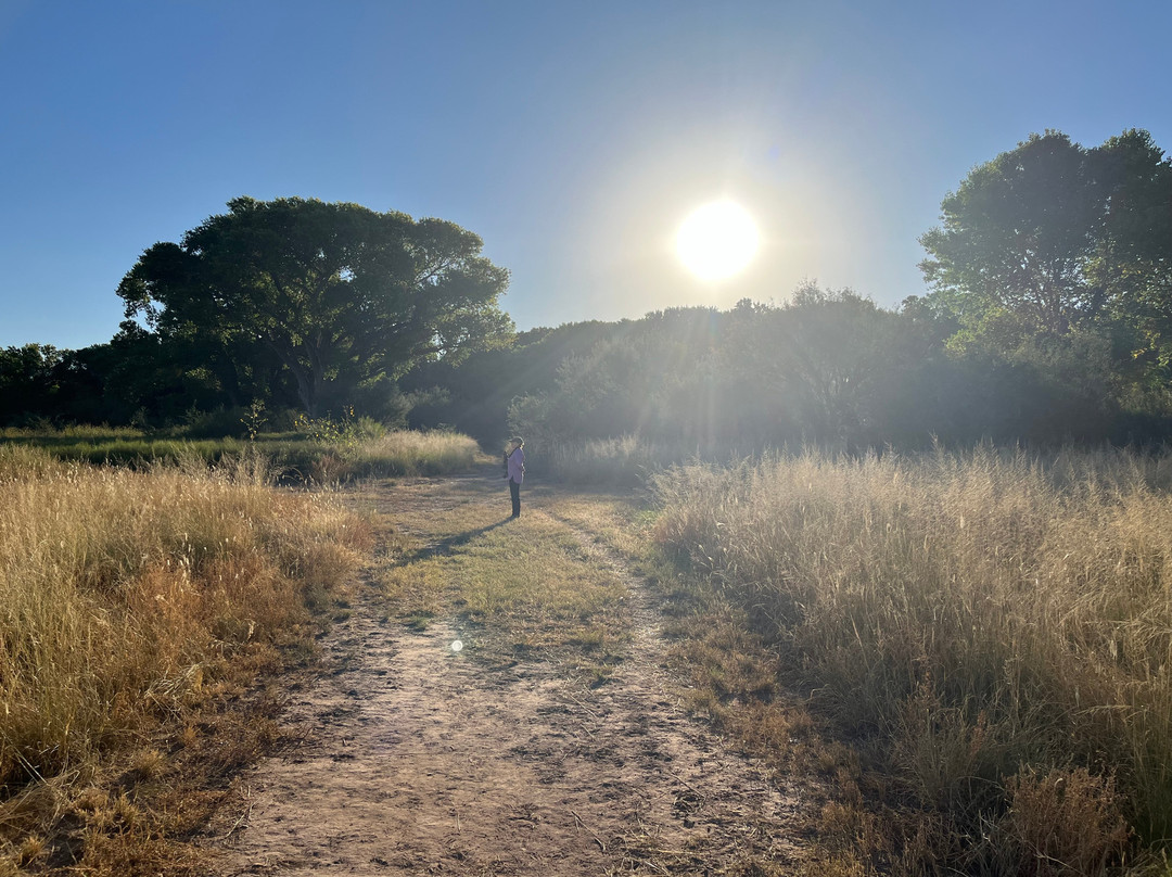 Casa de San Pedro主图