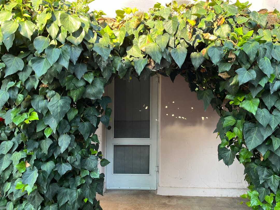 Casa Paloma Bed & Breakfast主图