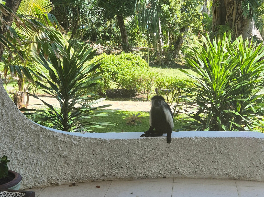 Ocean Village Club主图