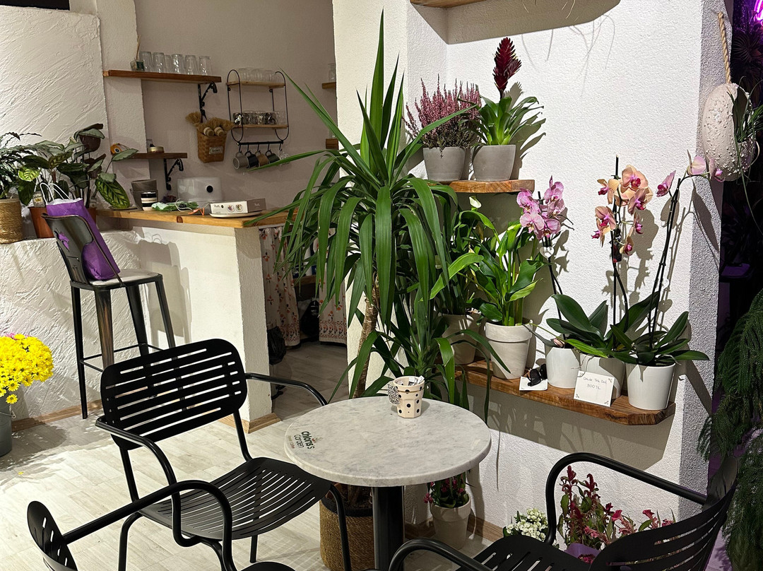 Chloris's Garden景点图片