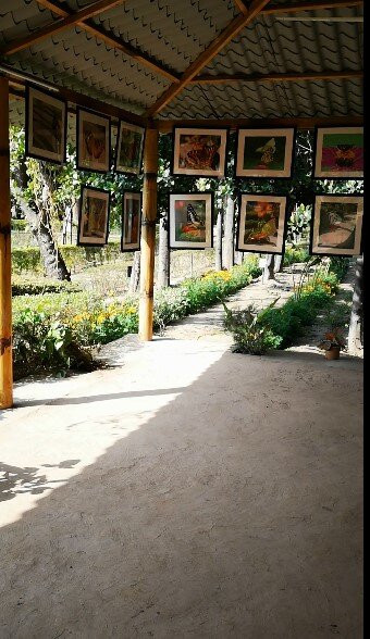 Butterfly Park-昌迪加必去景点