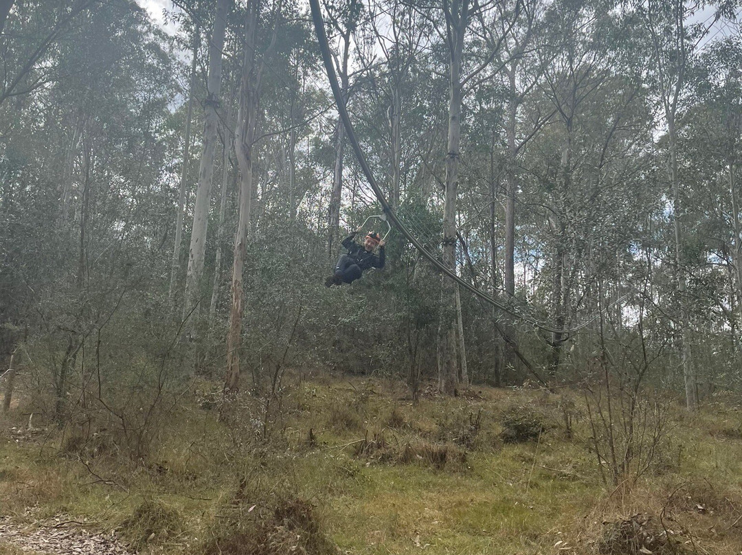 Treetops Adventure Western Sydney景点图片