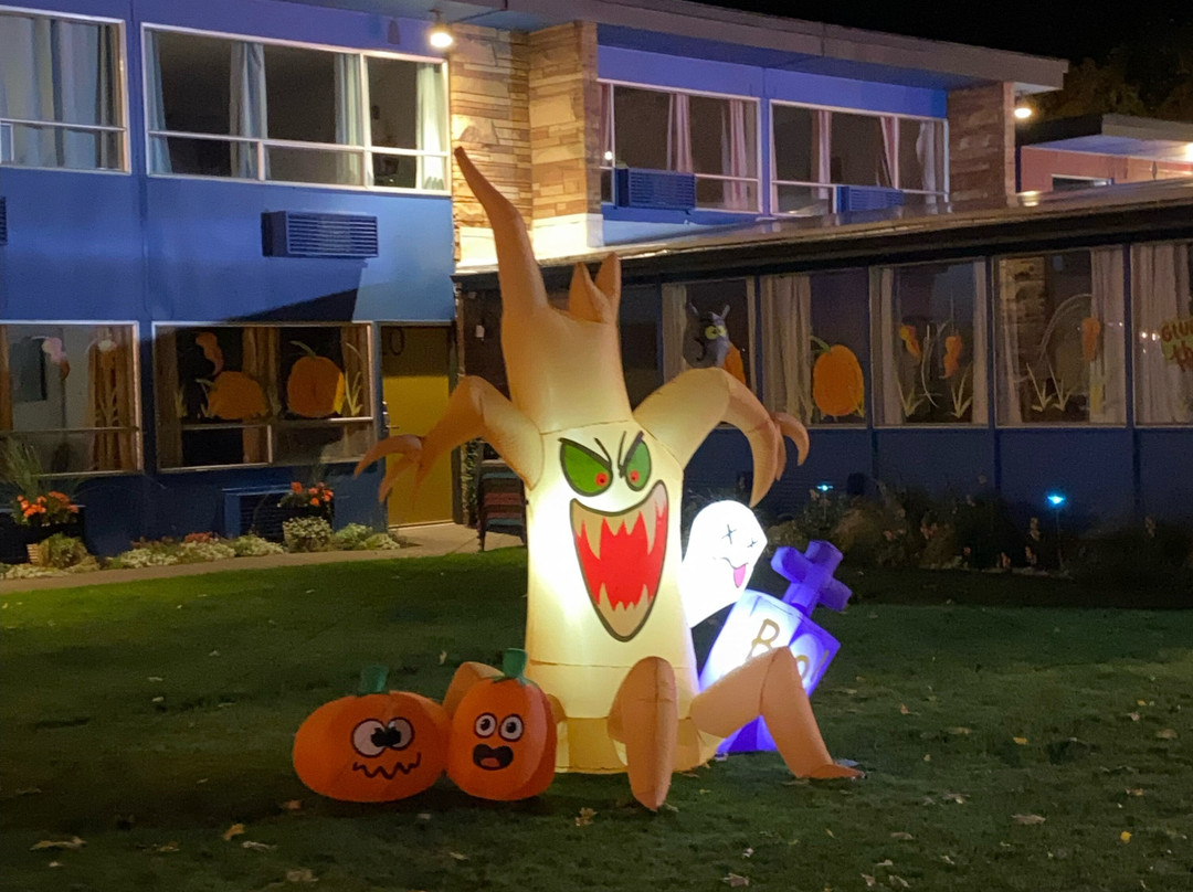 The Stardust Motel主图