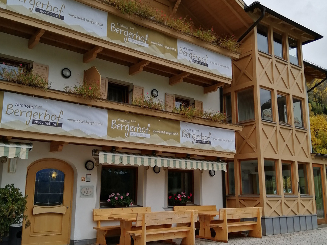 Almhotel Bergerhof主图