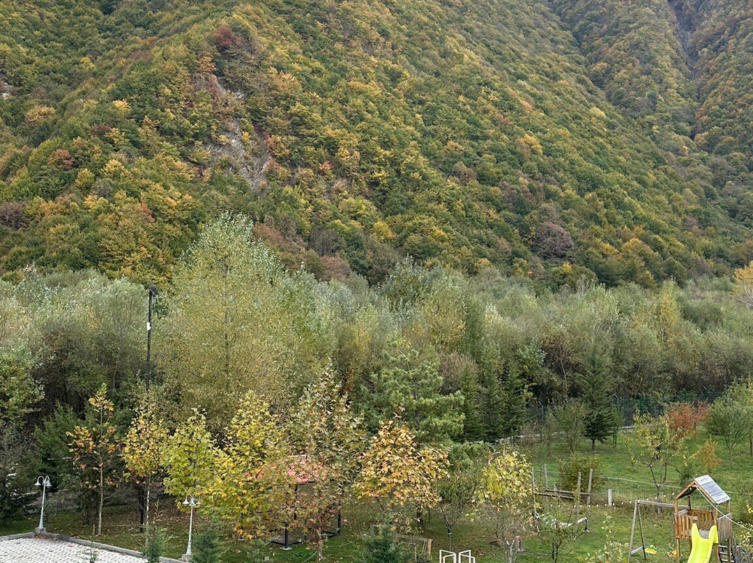 Sheki Park Hotel主图