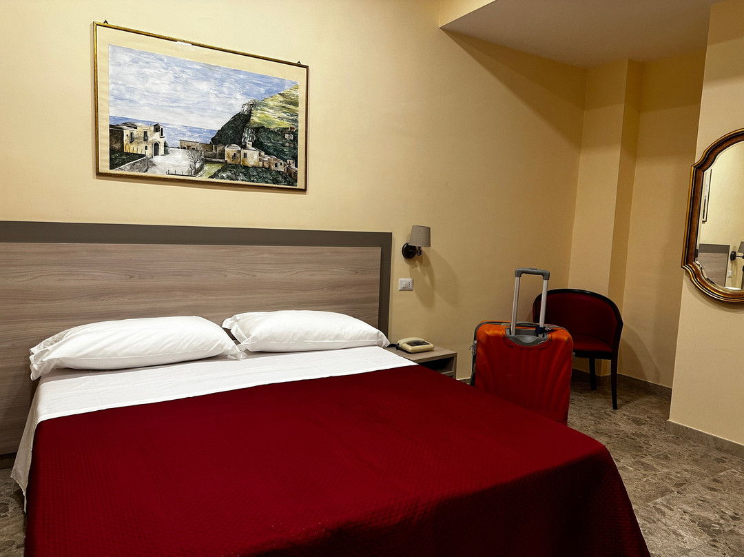 Hotel Delle Palme主图