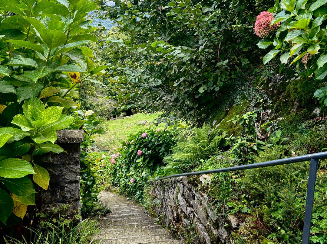 Essentia Guest House主图