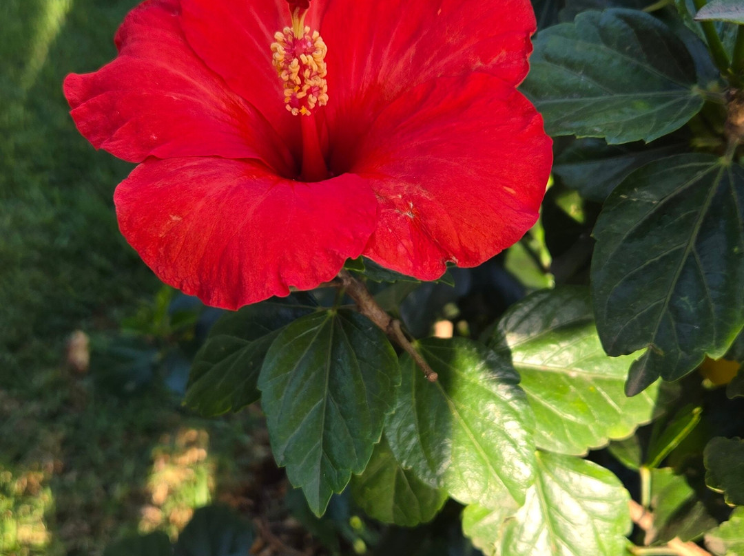 All Over Africa Guest House主图