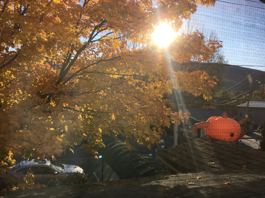 Woodstock Inn Brewery主图