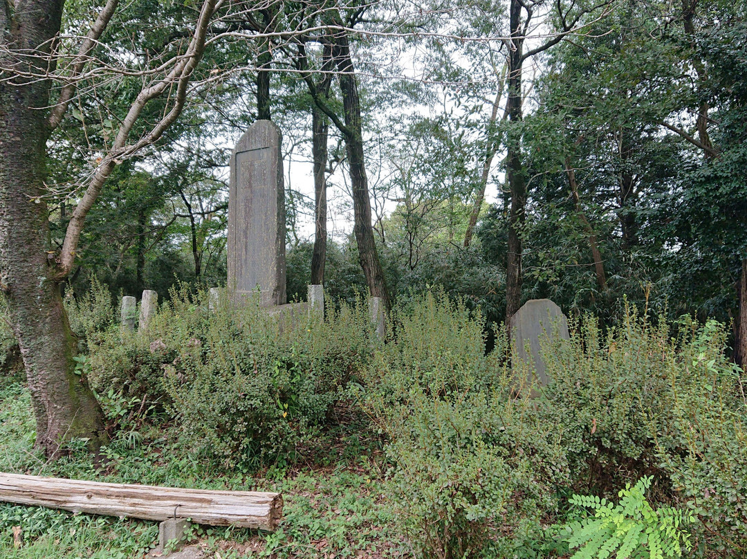 Oshamojiyama Park-鸠山町必去景点