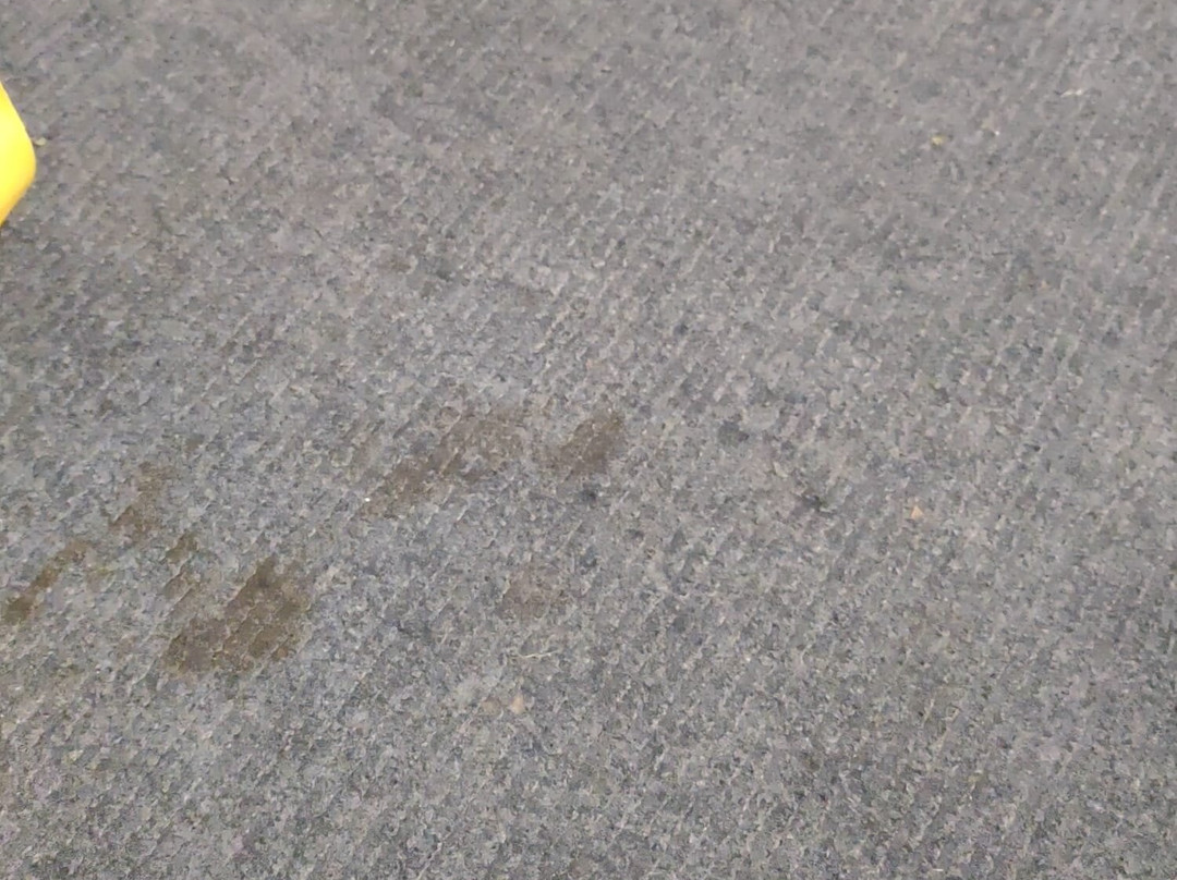 Mindemoya Motel主图