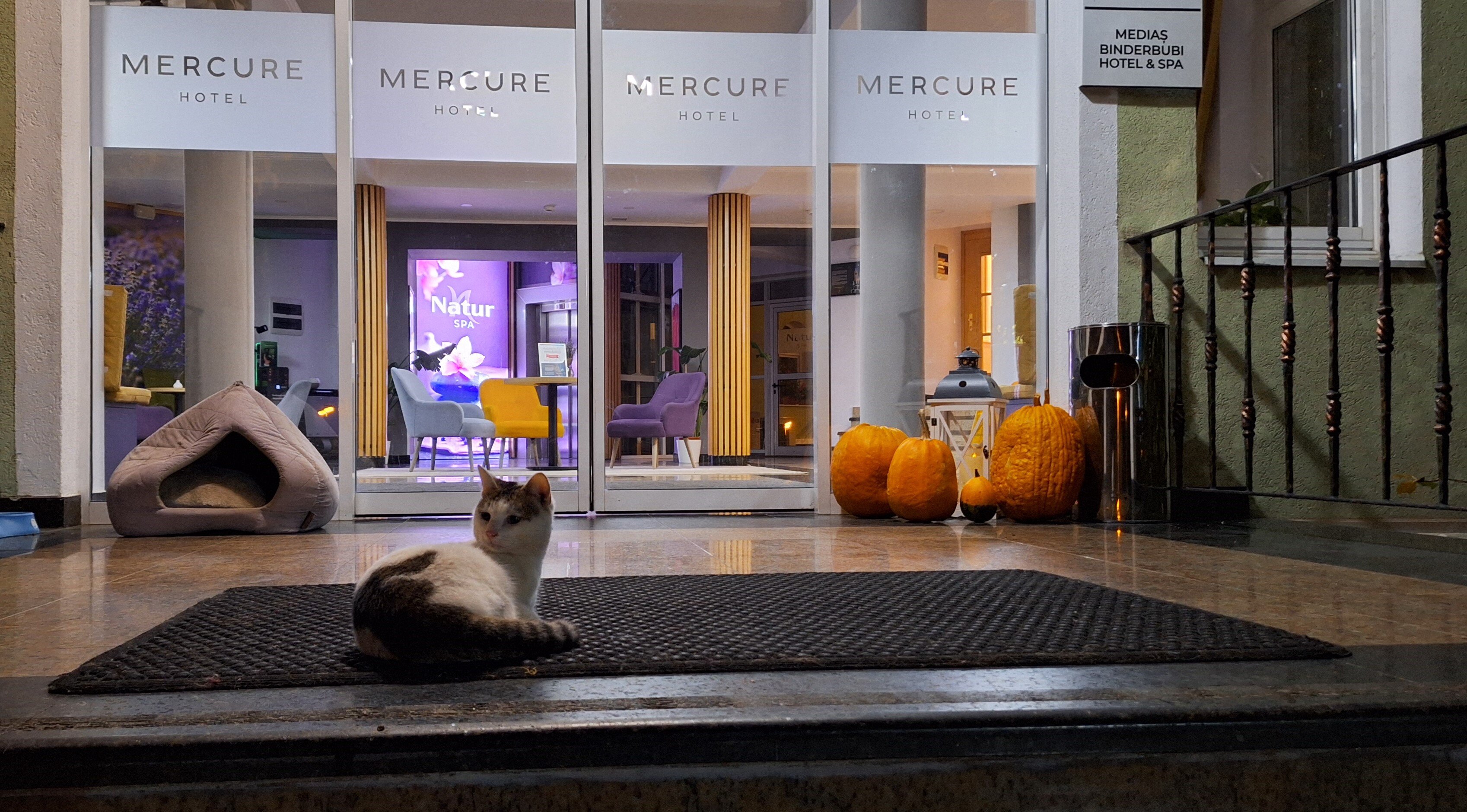Mercure Medias Binderbubi Hotel And Spa-浴室