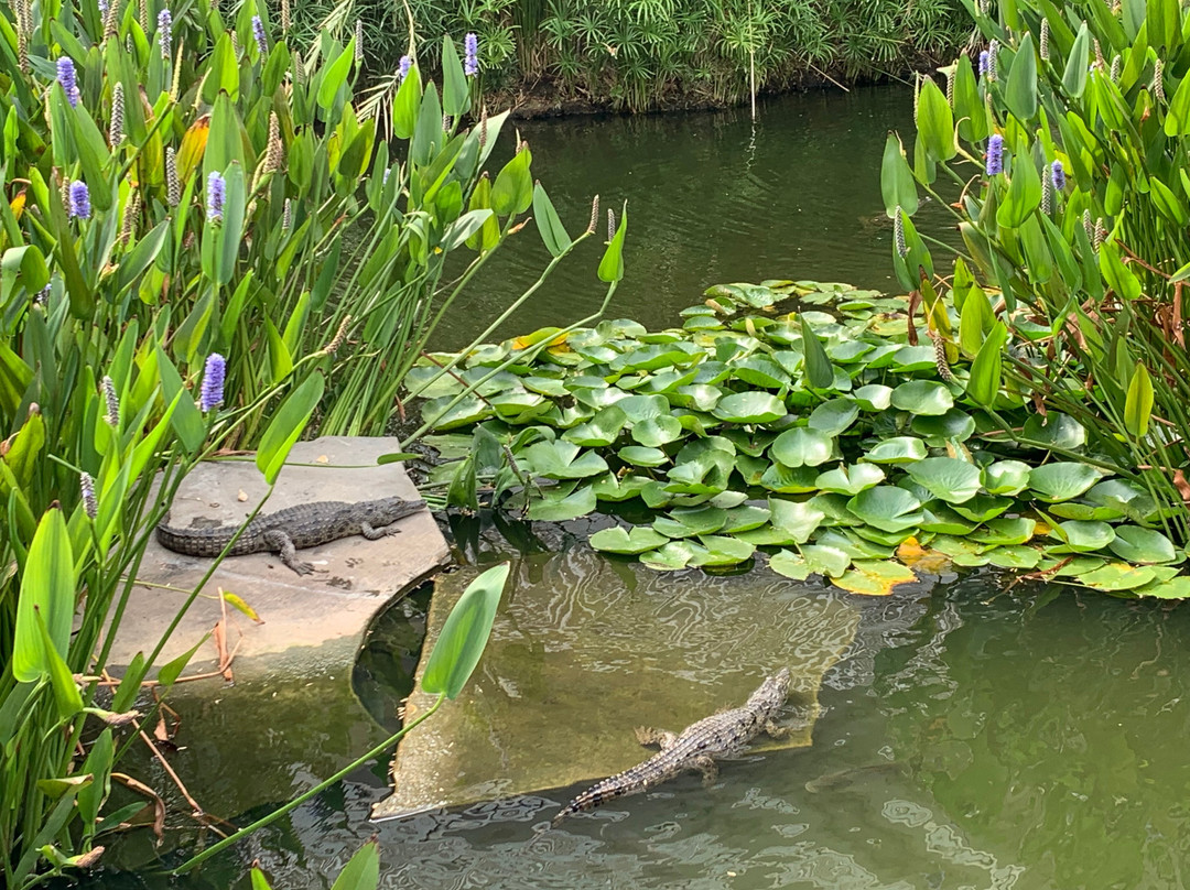 里奇韦南方太阳酒店主图