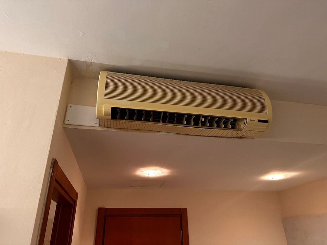 Roma Domus Hotel主图