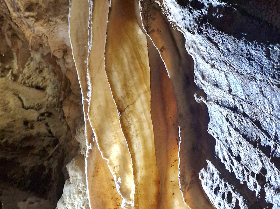 Waitomo Caves Ziplines景点图片