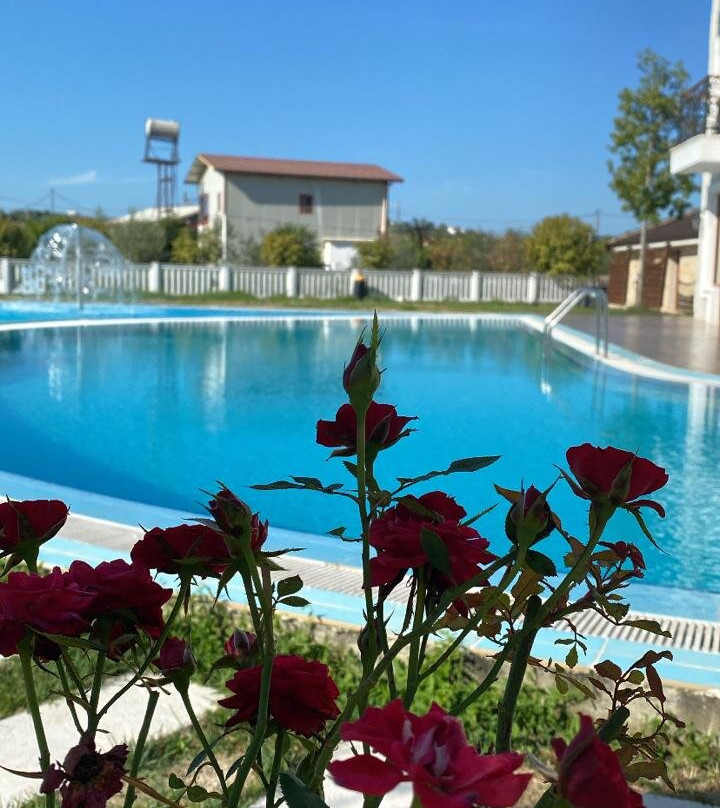 Vinea Resort & Spa主图