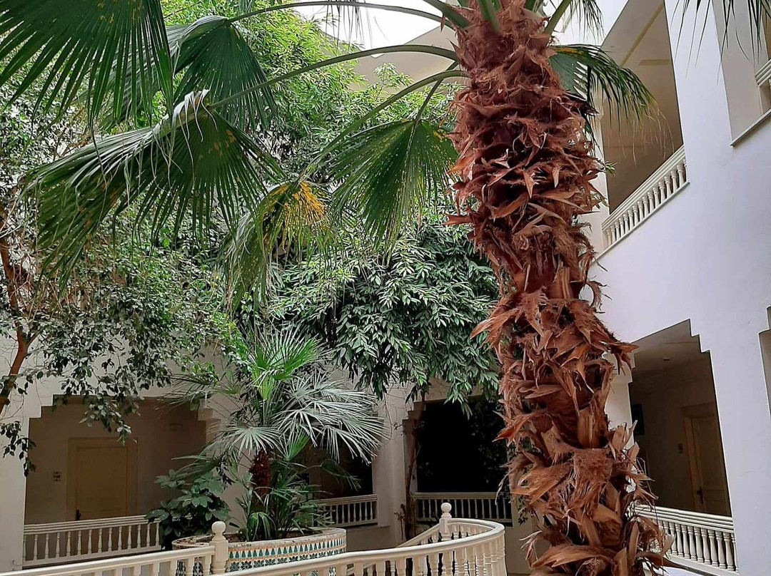 Vincci Dar Midoun主图