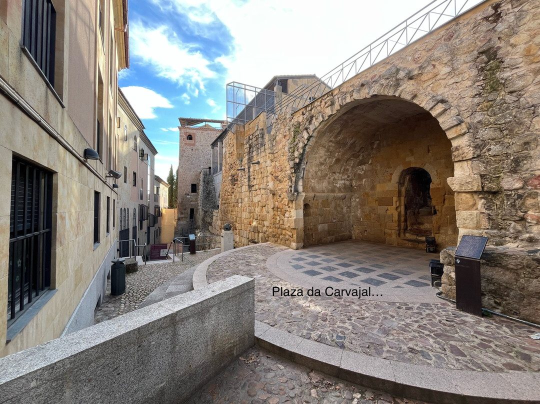 Cueva de Salamanca-萨拉曼卡必去景点