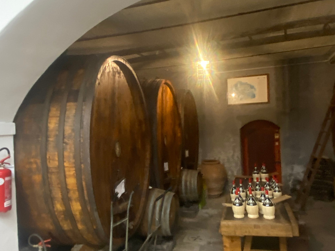 Park Hotel Chianti主图