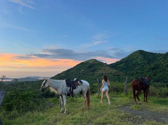 Mirador Equestrian