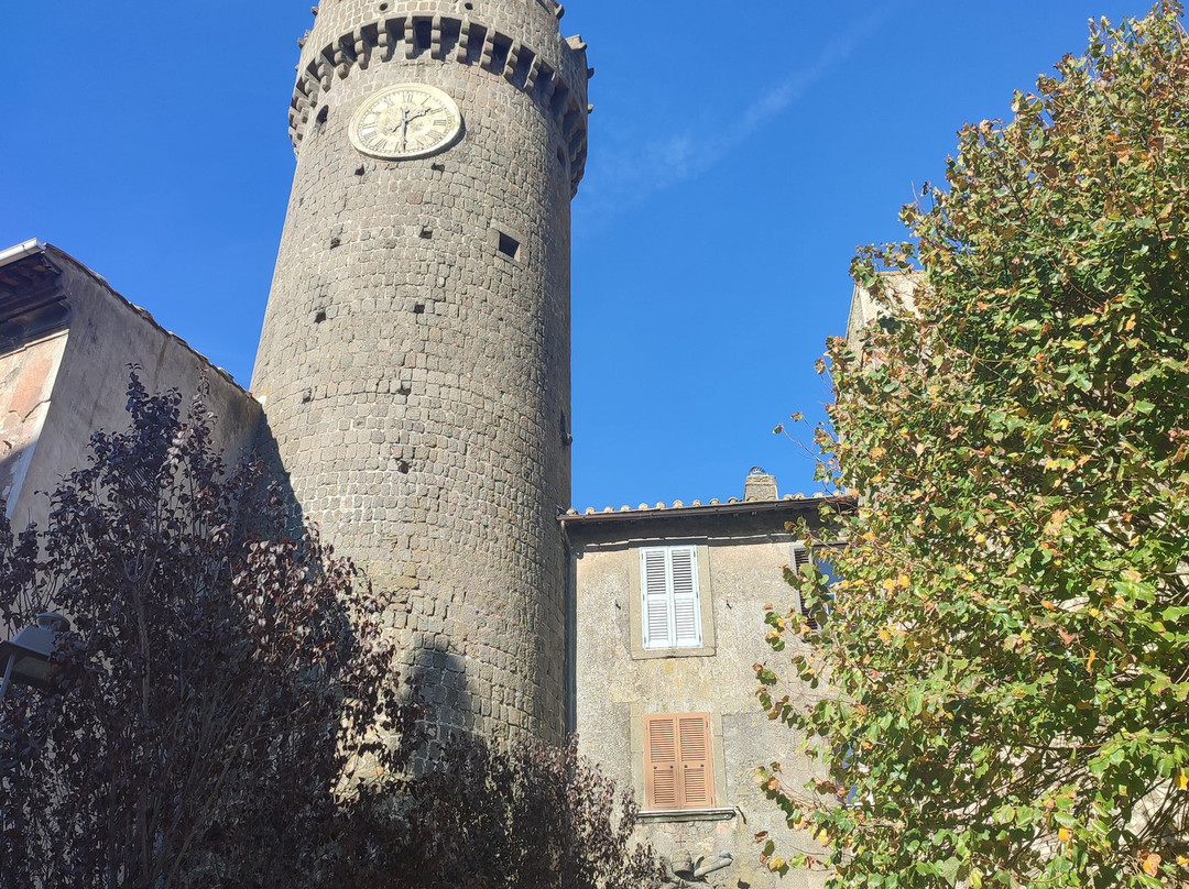 Torre dell'Orologio景点图片