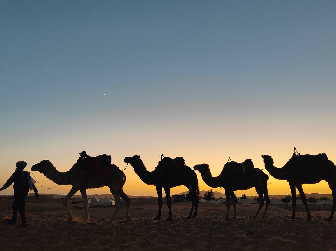 Morocco Today Travel-卡萨布兰卡必去景点