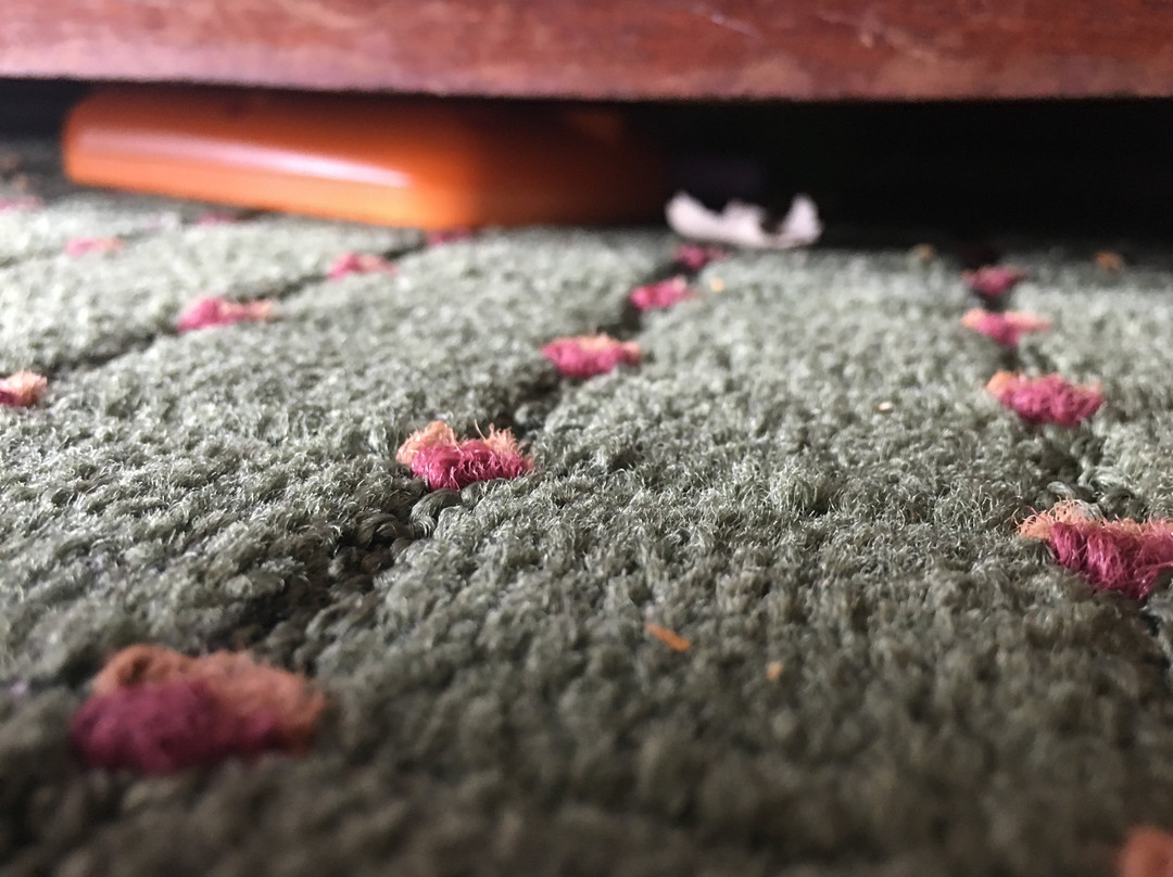 Quality Inn & Suites主图