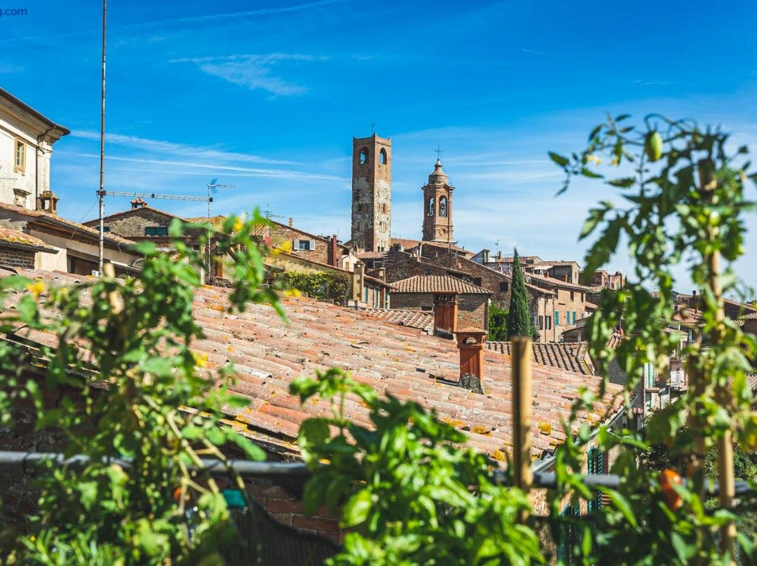 Monteleone d'Orvieto酒店住宿-Casa Grinta B&B